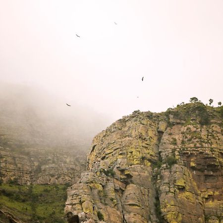 Cape Vulture Conservancy Hoedspruit Exteriér fotografie