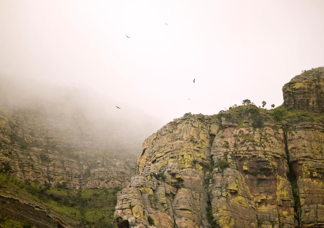 Cape Vulture Conservancy Hoedspruit Exteriér fotografie