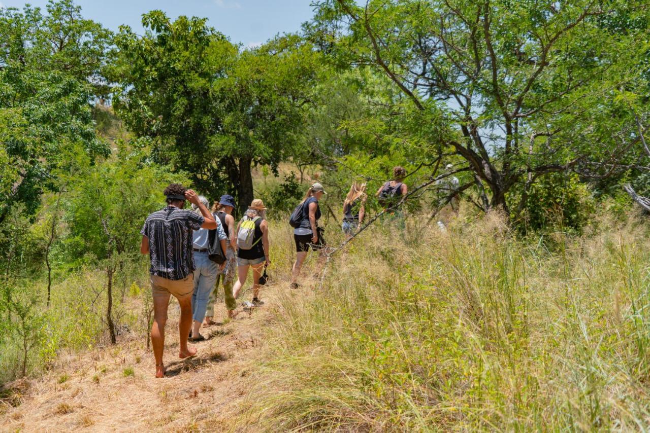 Cape Vulture Conservancy Hoedspruit Exteriér fotografie