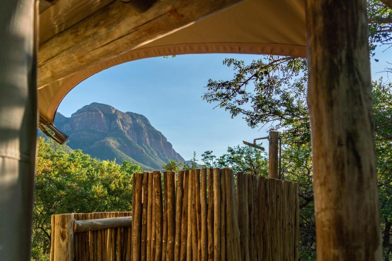Cape Vulture Conservancy Hoedspruit Exteriér fotografie